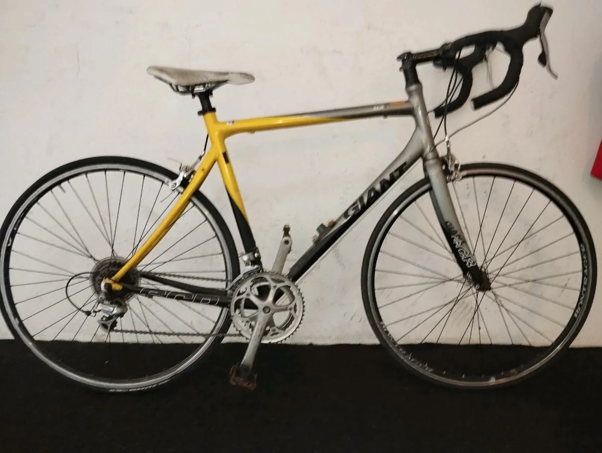 Men's giant Racer - Image 1