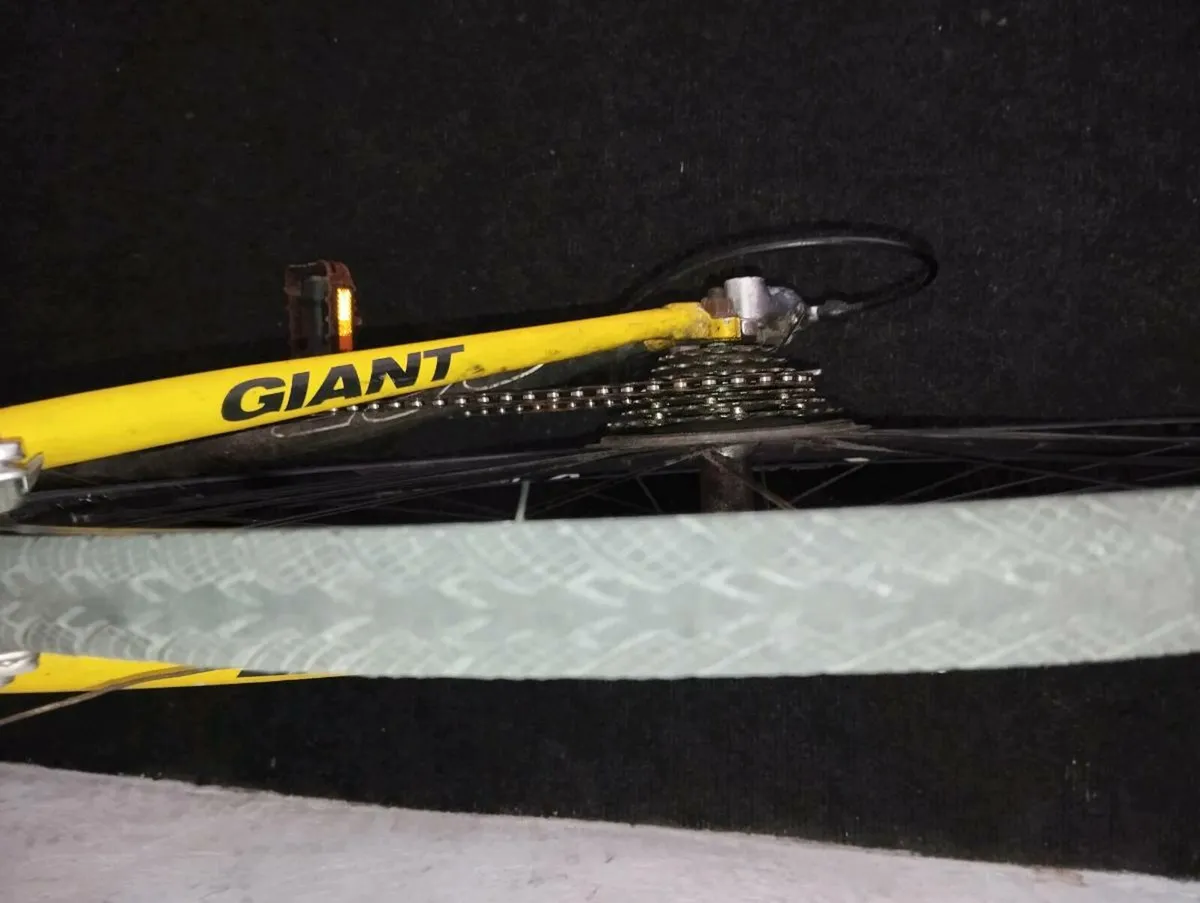 Men's giant Racer - Image 4