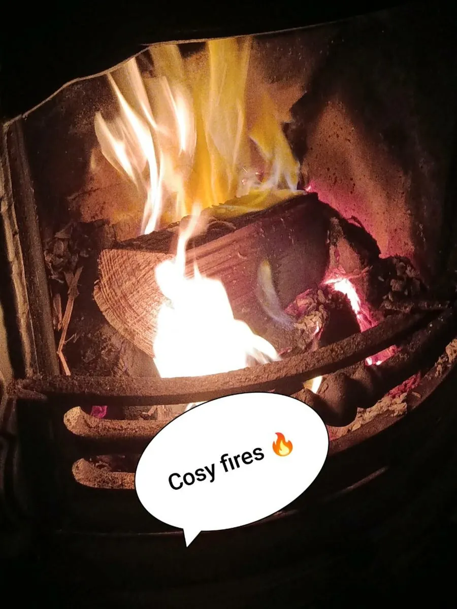 Firewood &Coal - Image 2