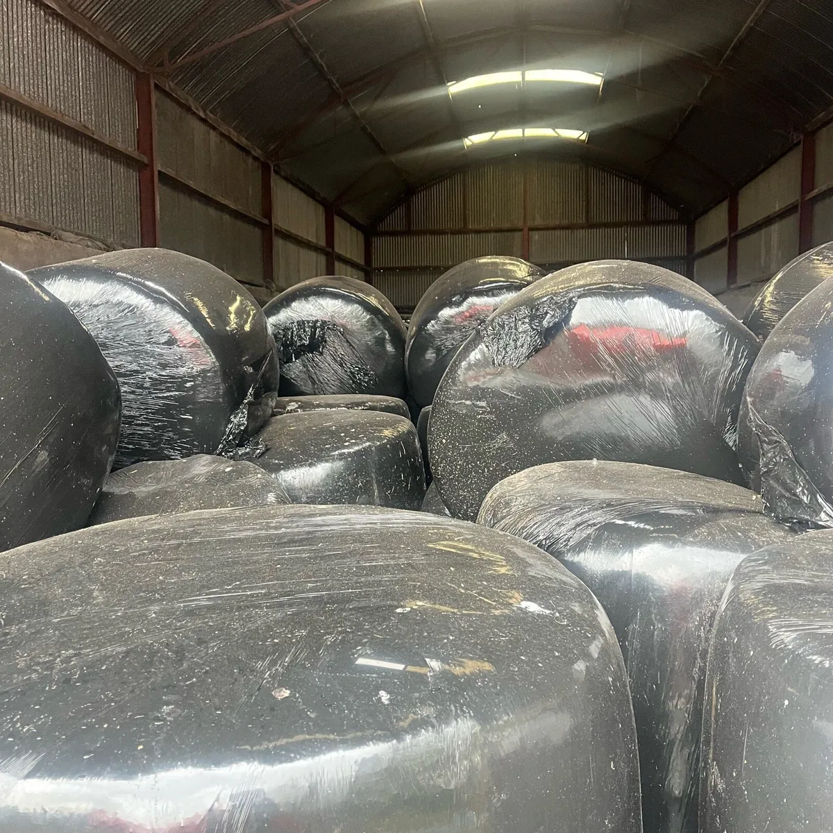 Silage bales