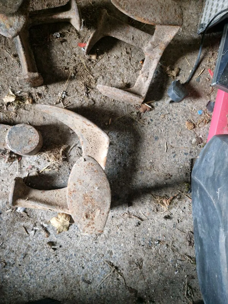 Last - Image 2