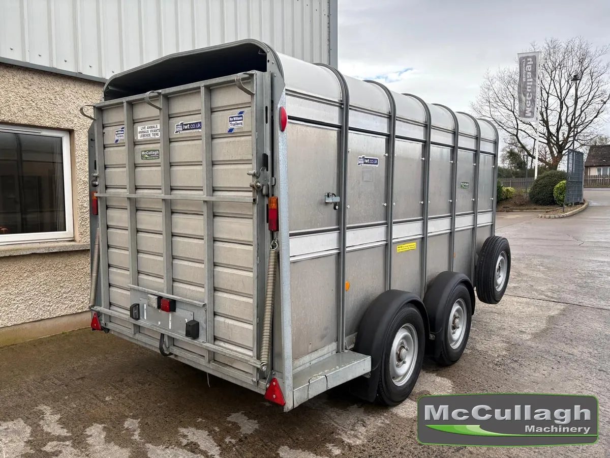 Used Ifor Williams TA510 12×6 Cattle Trailer - Image 2