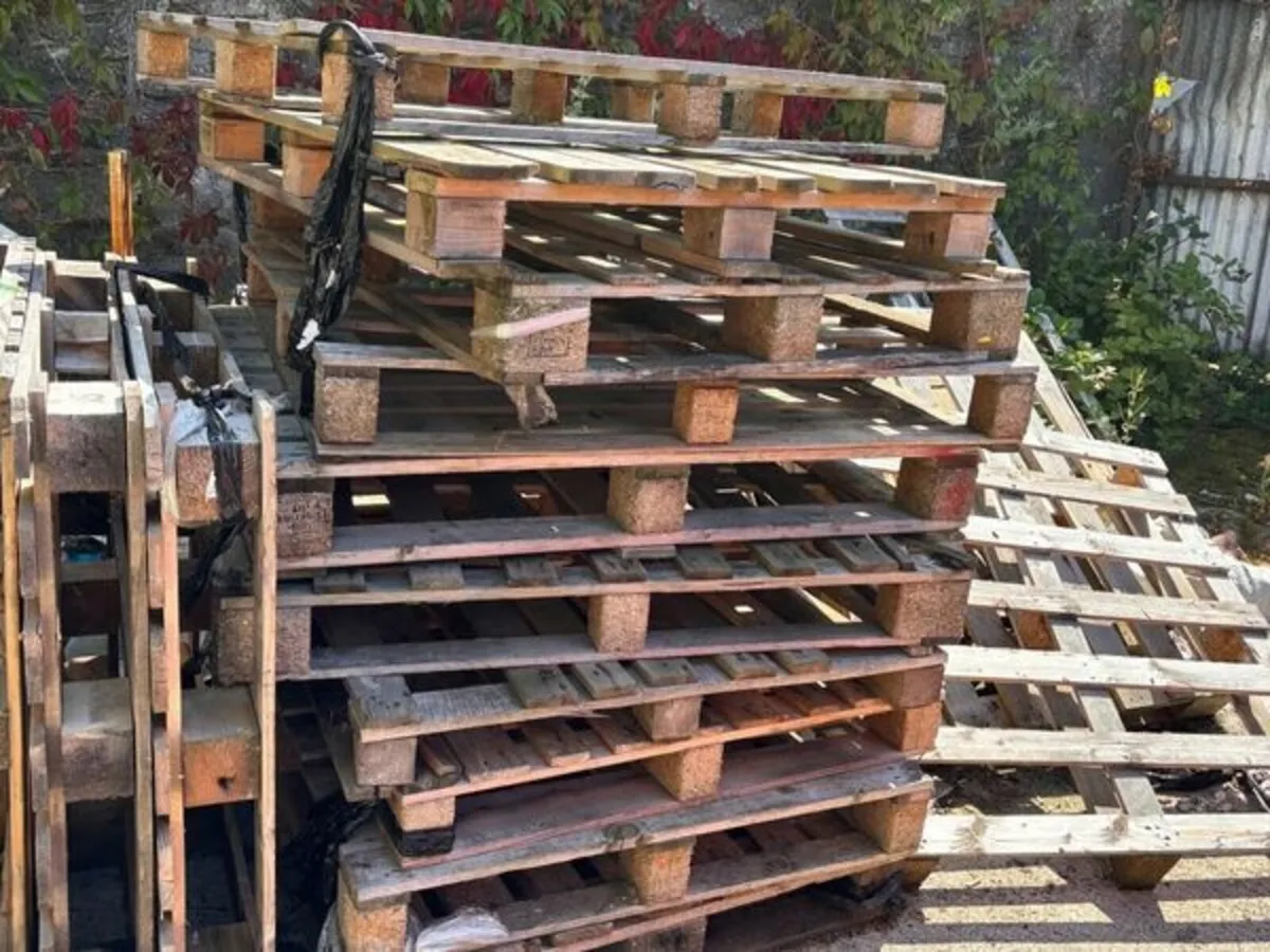 Waste Timber / Firewood / Pallets - Image 4