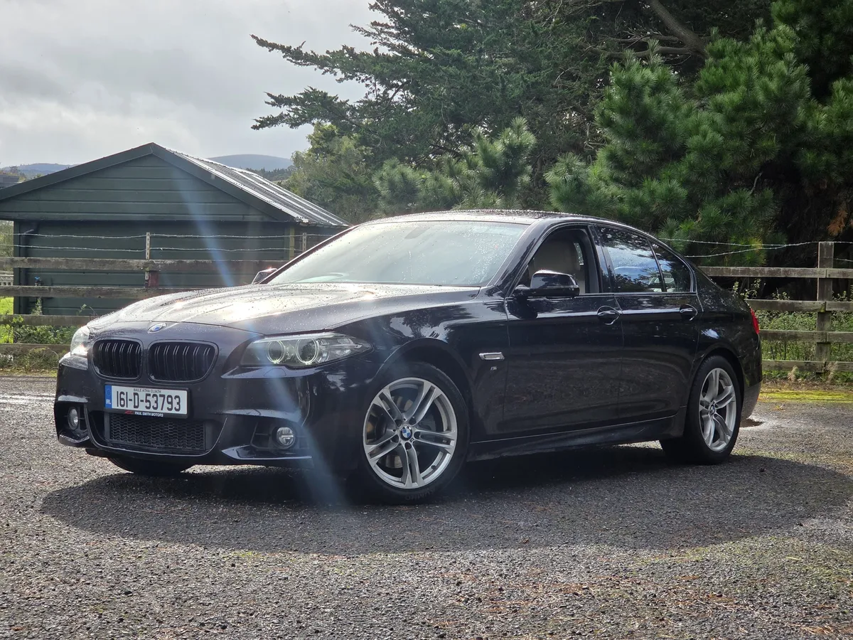BMW 520d Msport - Image 2