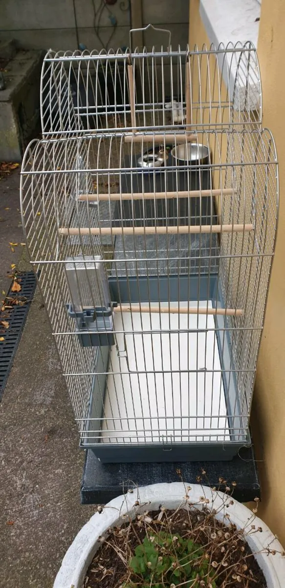 Bird cages - Image 2