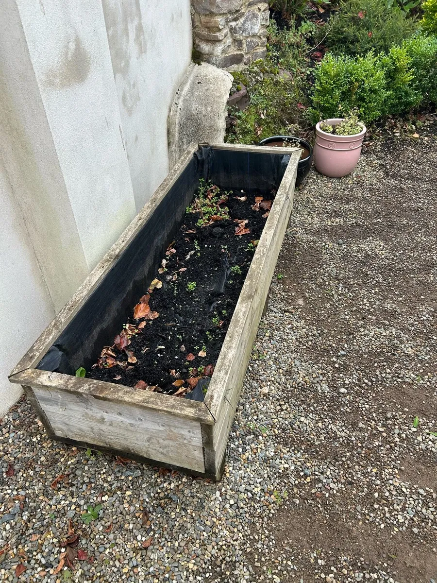 Raised Bed