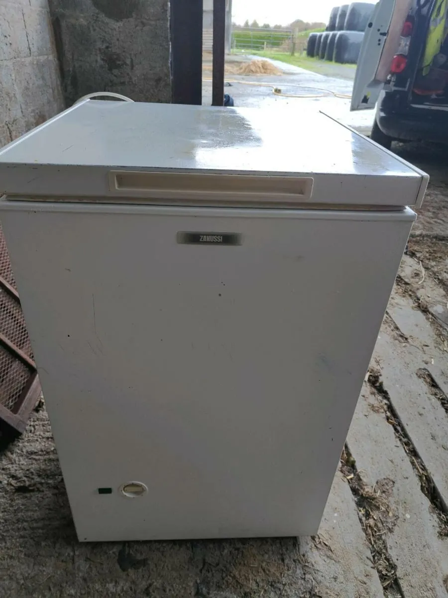 Chest freezer - Image 1