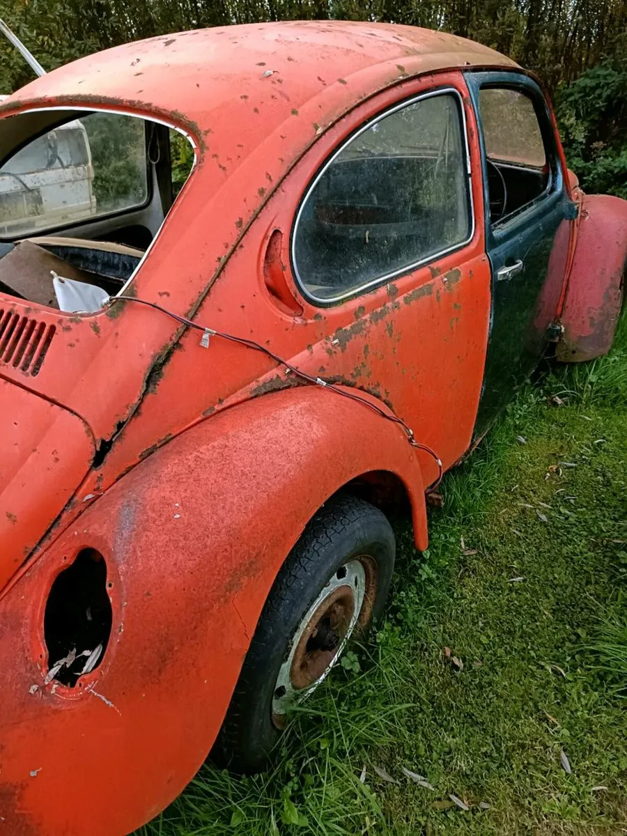 Vw beetle - Image 2