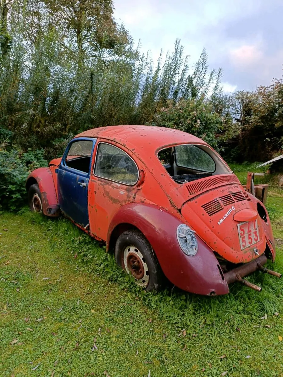 Vw beetle - Image 4