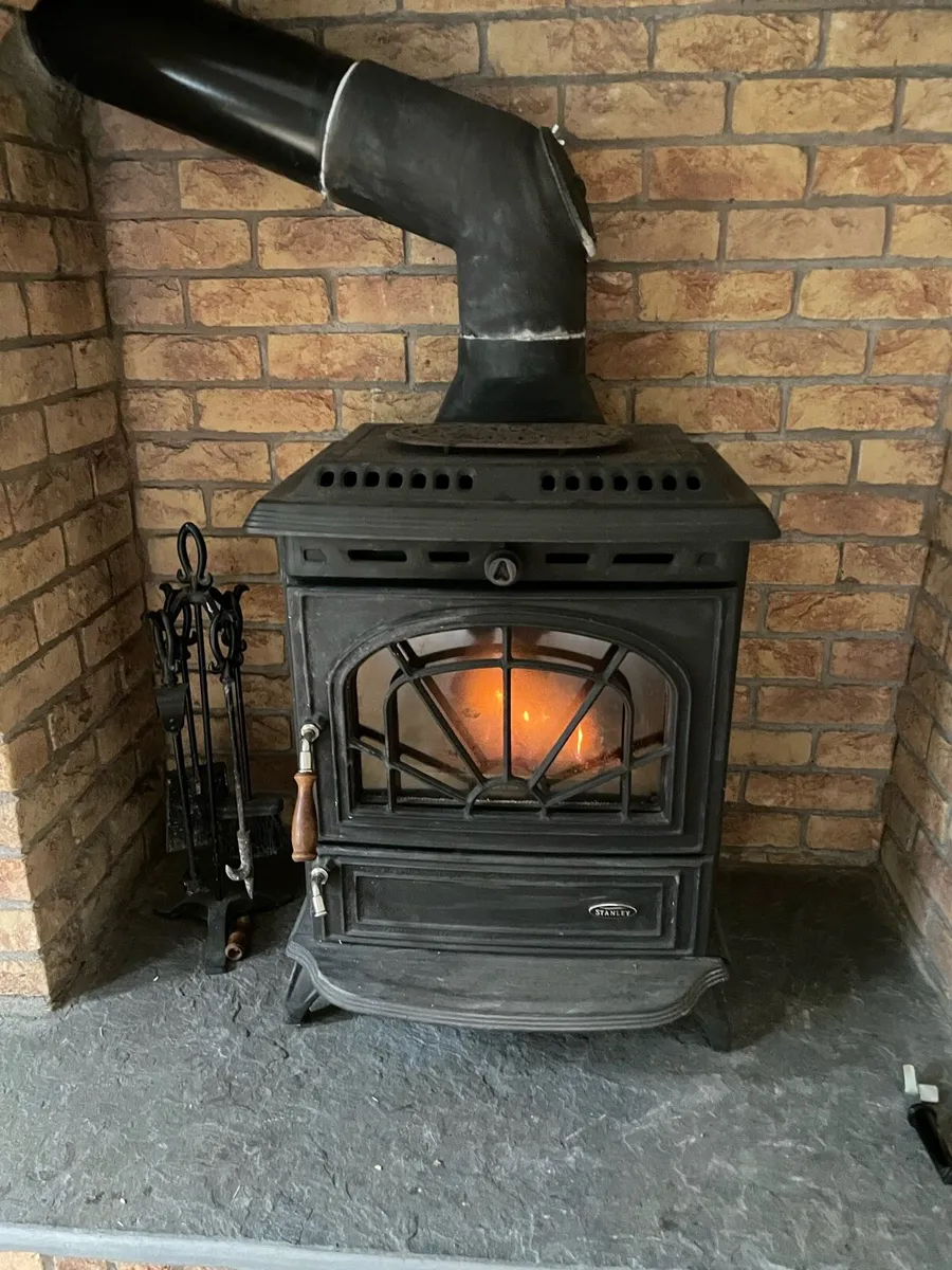 Stove Stanley - Image 1