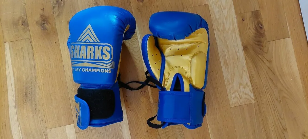 Boxing punching bag - Image 2