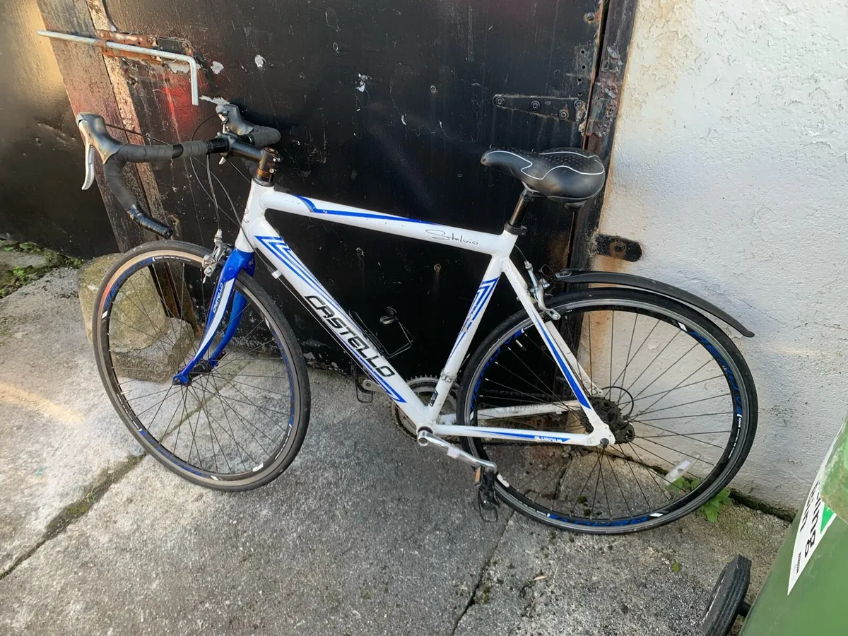 Castello Stelvio bike - Image 1