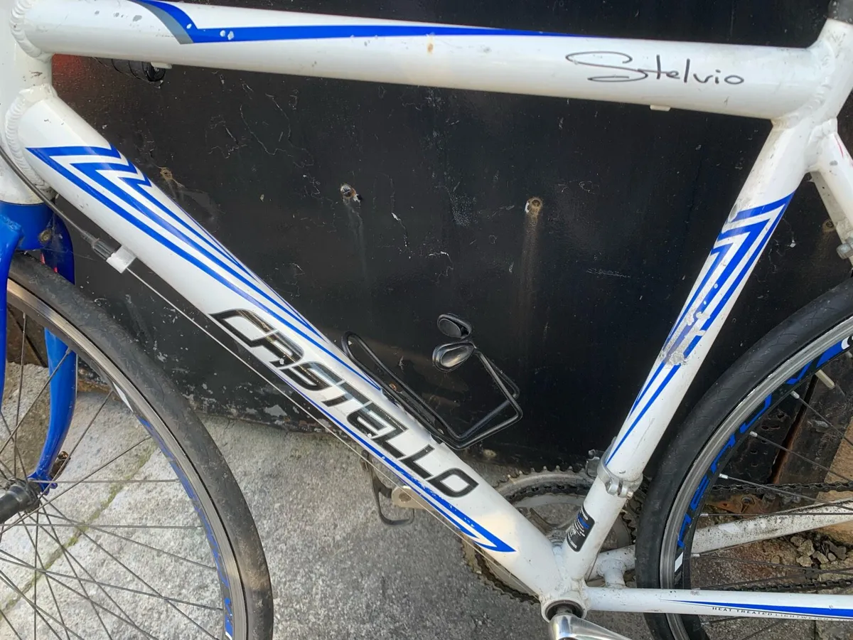 Castello Stelvio bike - Image 2