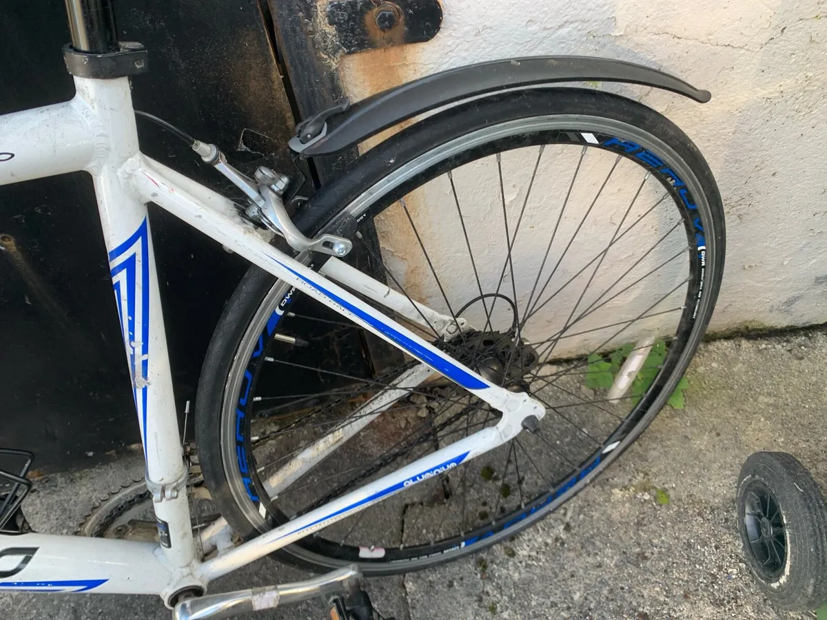 Castello Stelvio bike - Image 3