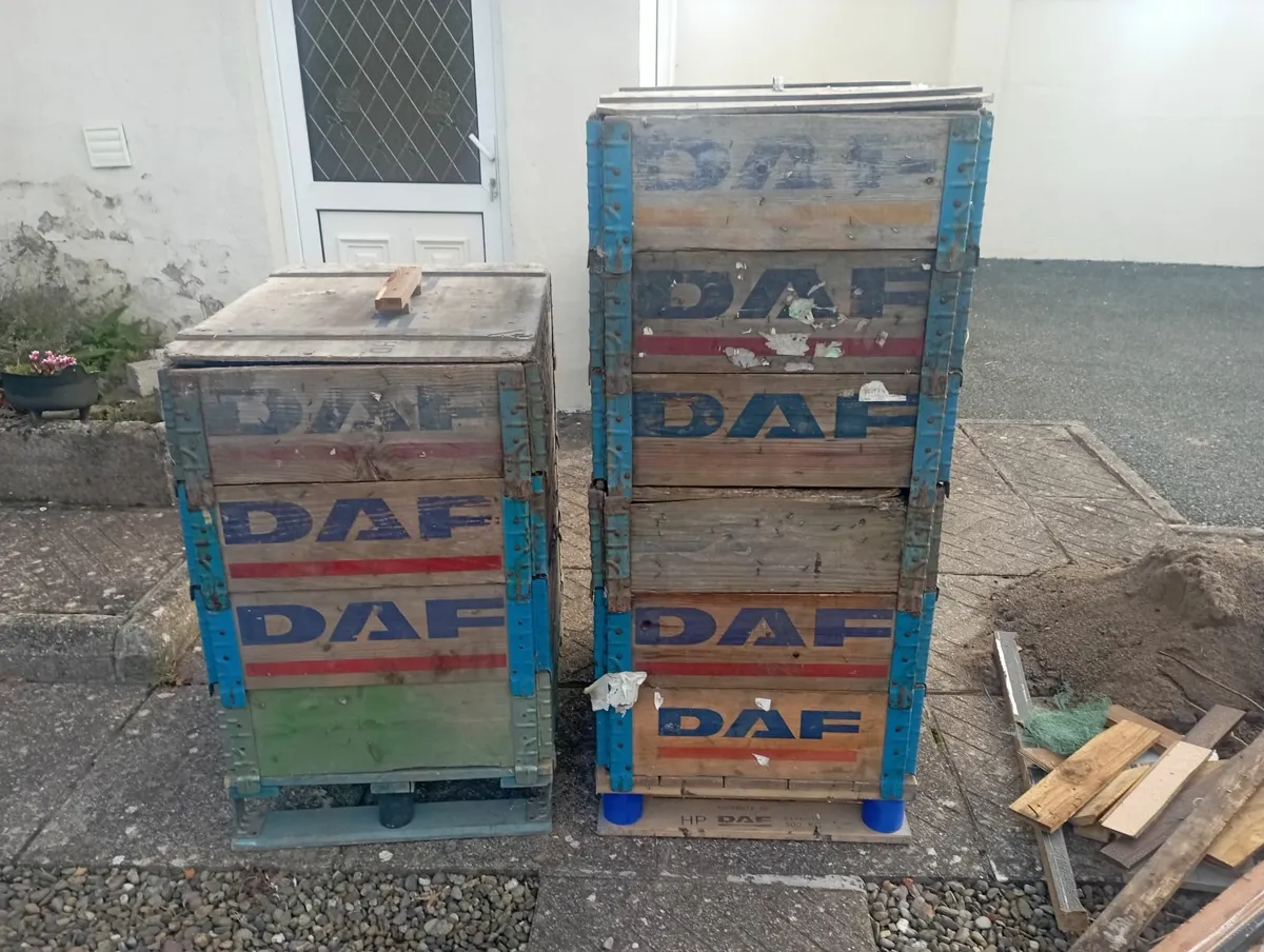 Shed clear out - Image 1