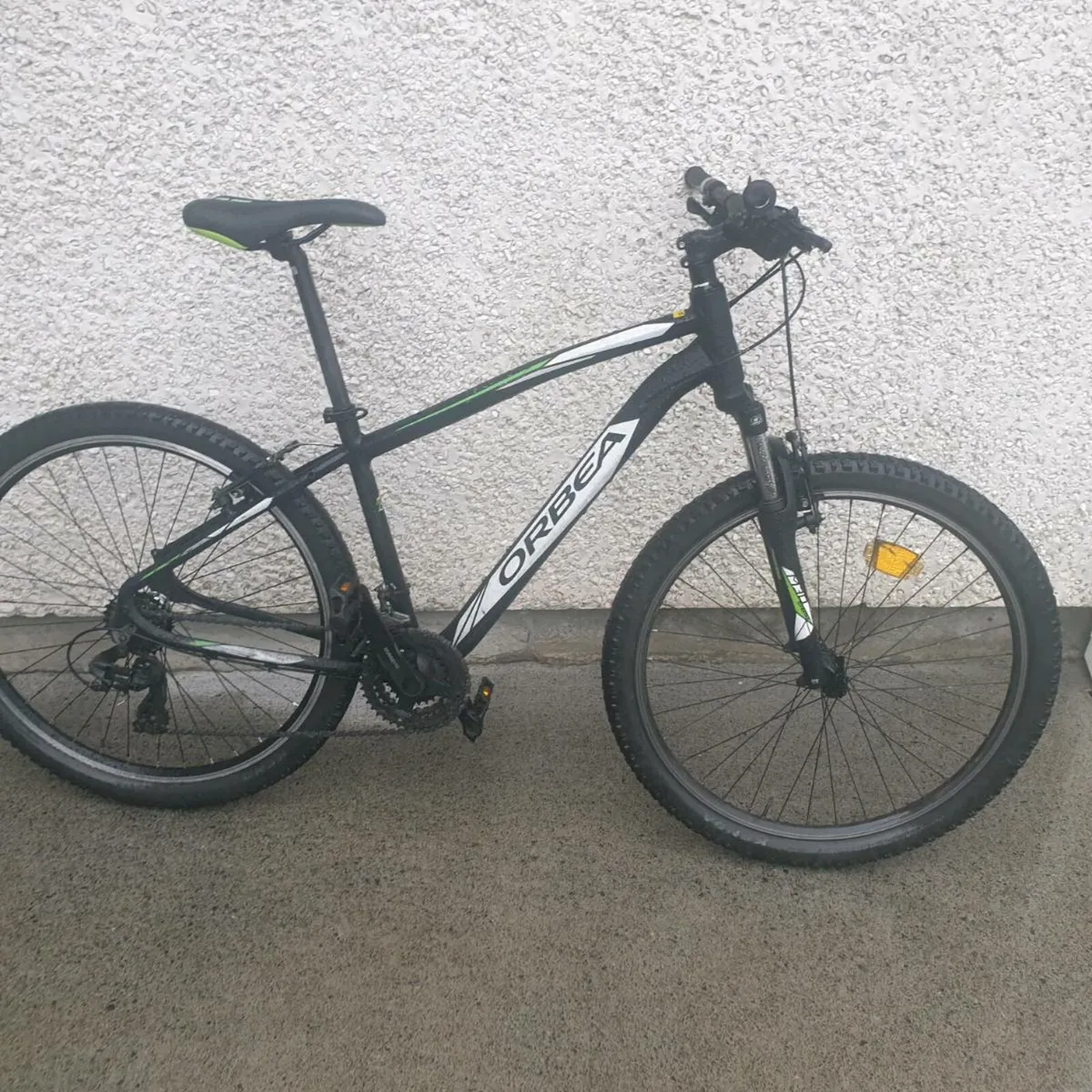 ADULTS BIKE - Image 1