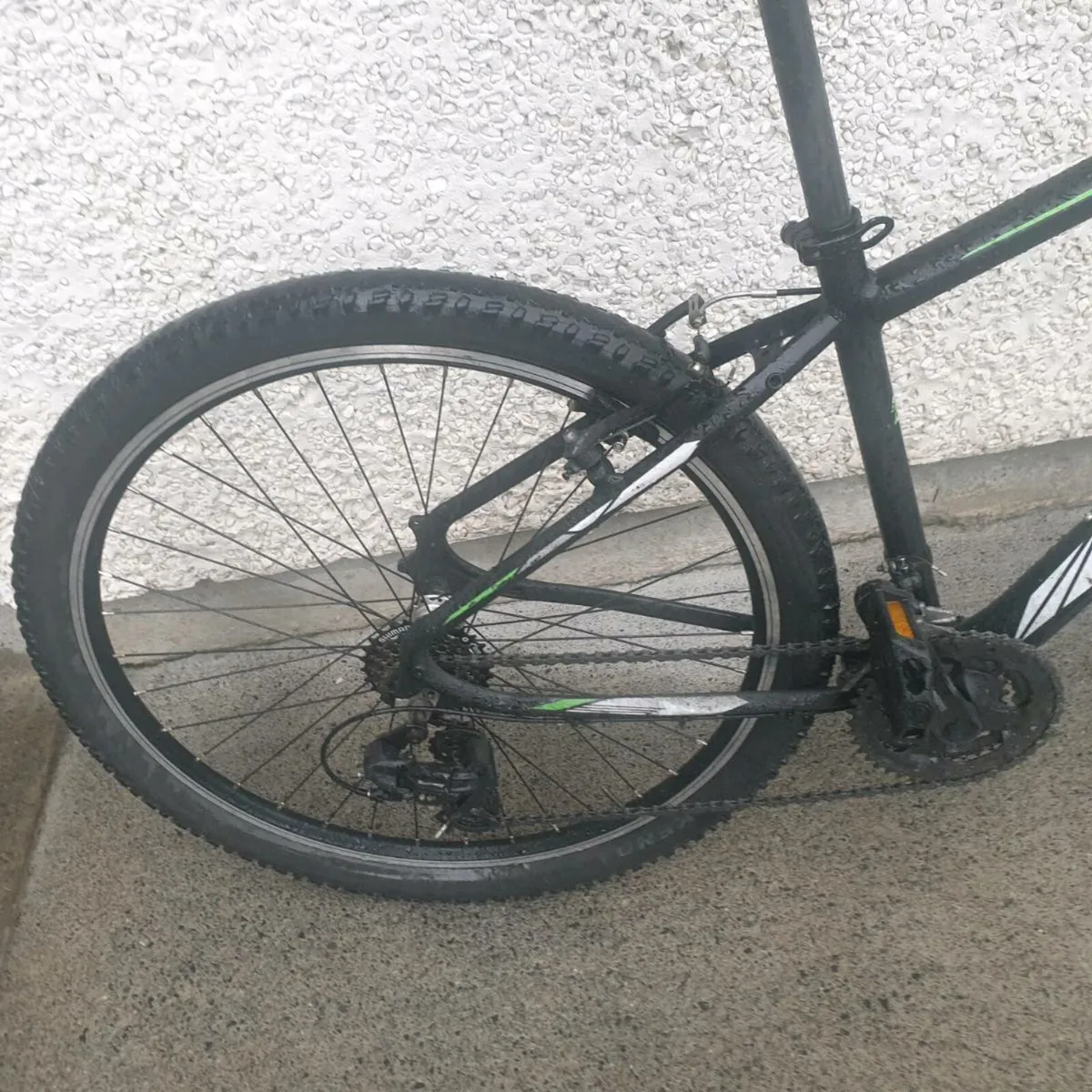 ADULTS BIKE - Image 2