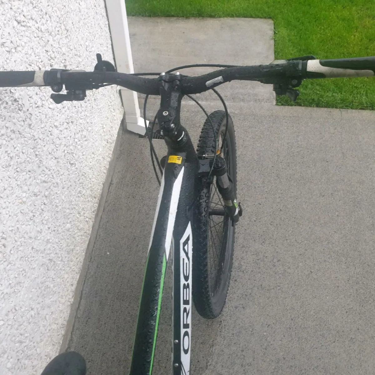 ADULTS BIKE - Image 3