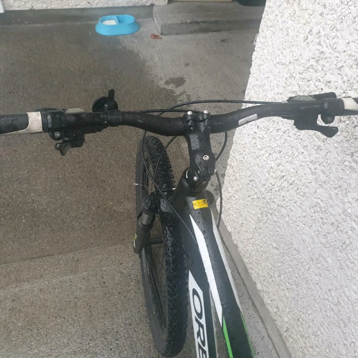 ADULTS BIKE - Image 4
