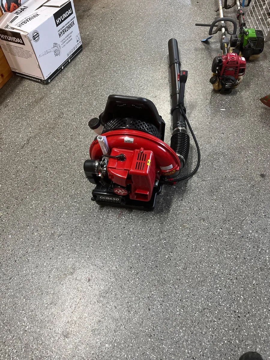 Leaf blower - Image 1