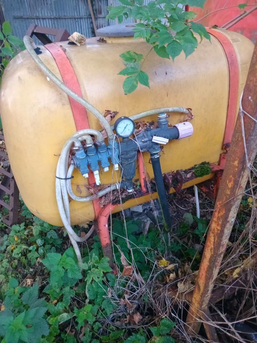 Sprayer and ramps - Image 1