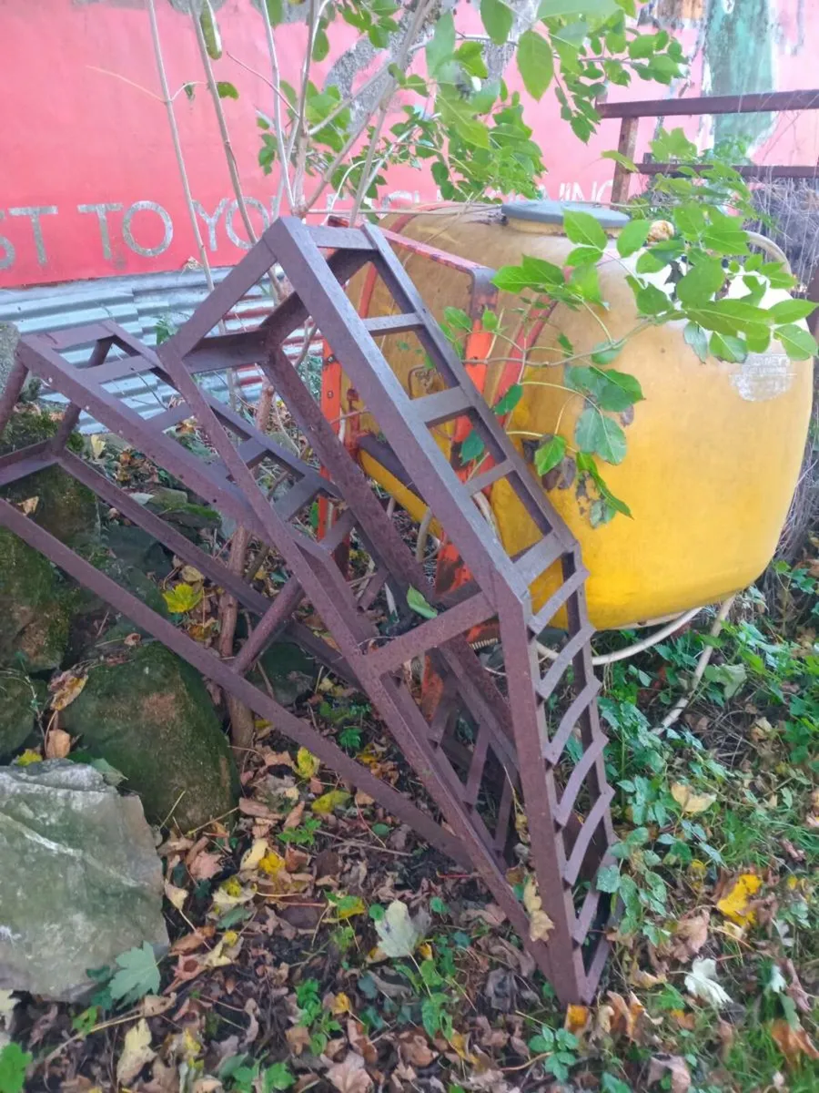 Sprayer and ramps - Image 2