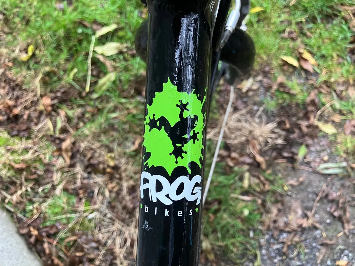 Frog Bike 62 - Image 2