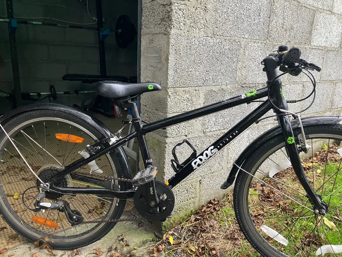 Frog Bike 62 - Image 1