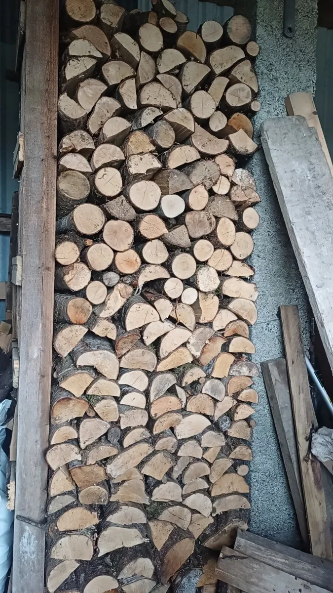 Seasoned Ash firewood - Image 4