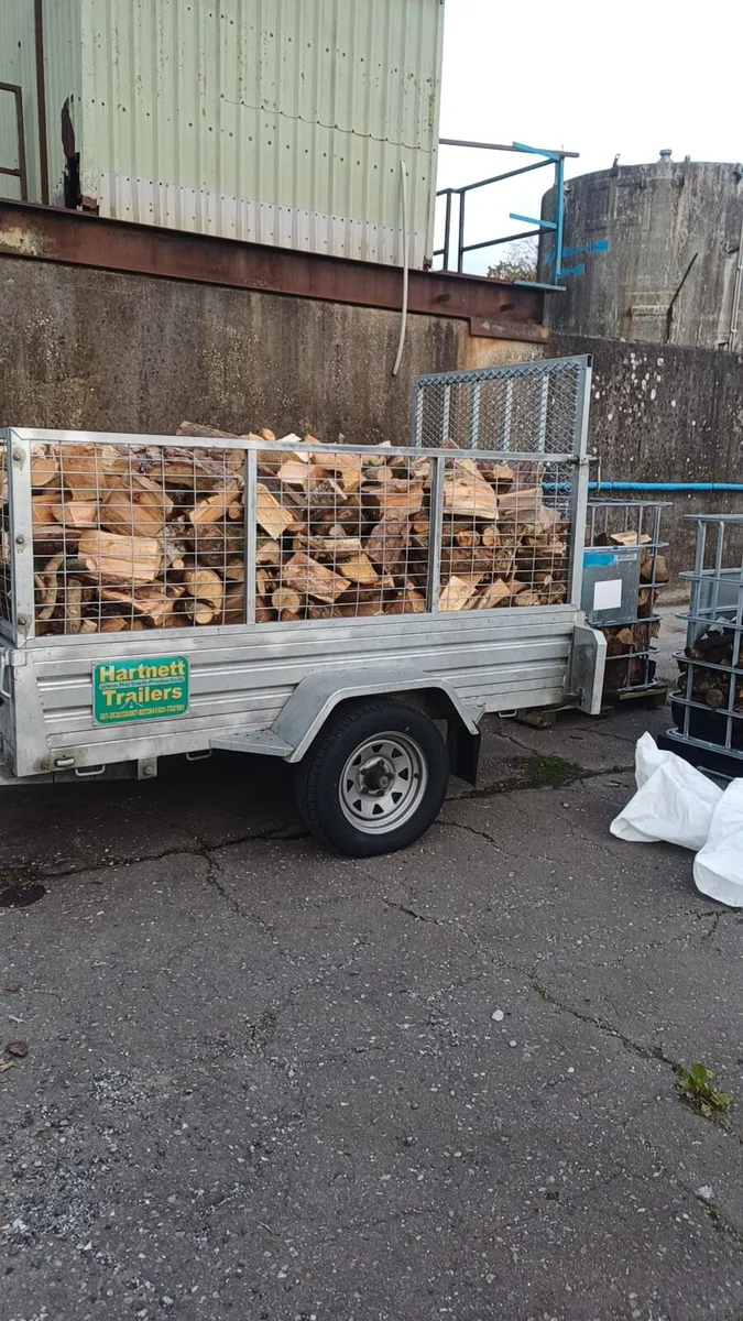 Seasoned Ash firewood - Image 1
