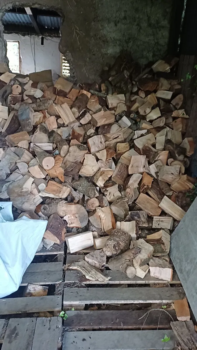 Seasoned Ash firewood - Image 2