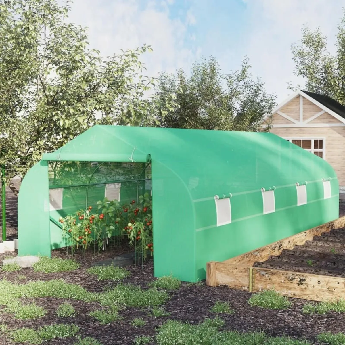 Walk in Polytunnel Greenhouse with Windows and Doo - Image 1