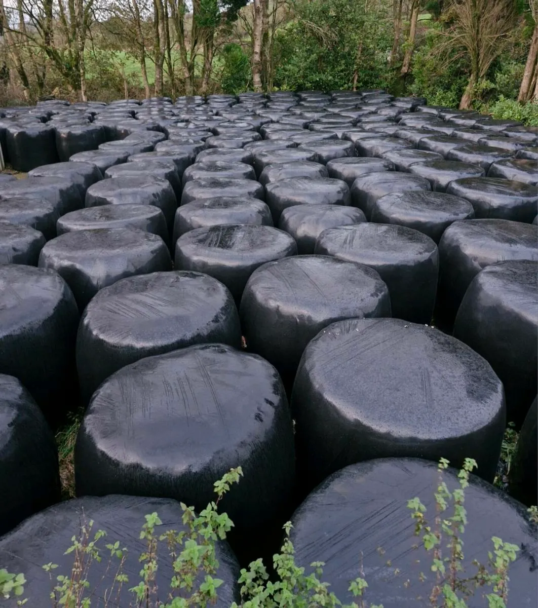 Bales of silage