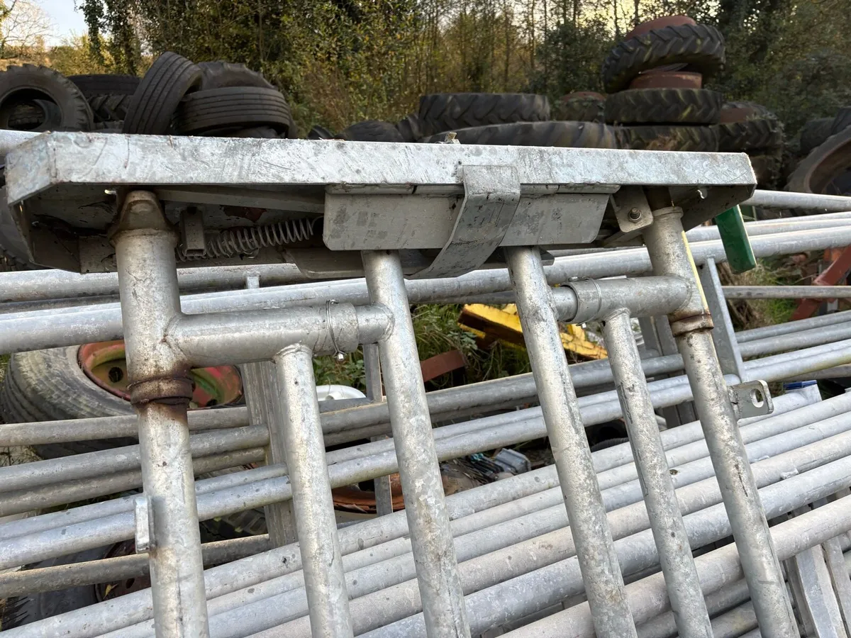 Skulling gate - Image 2