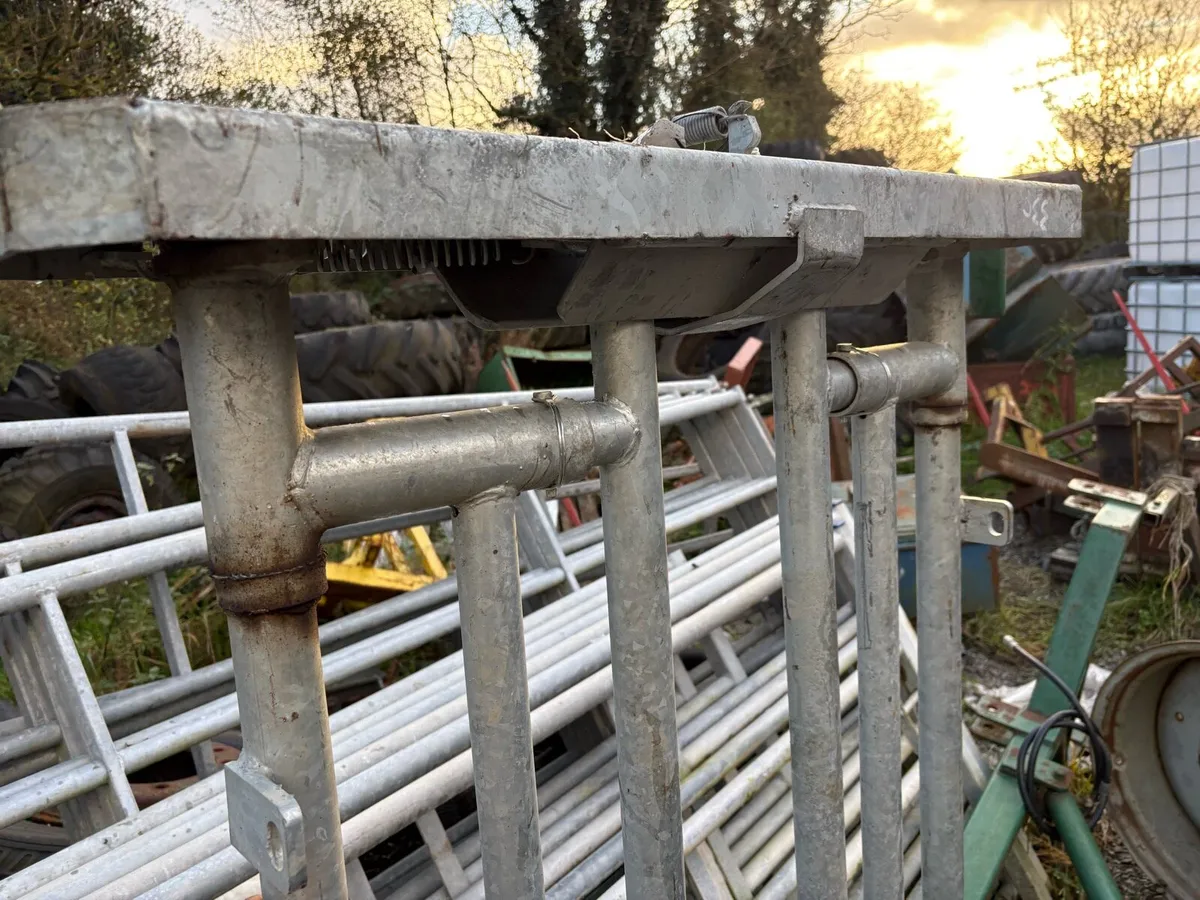Skulling gate - Image 4