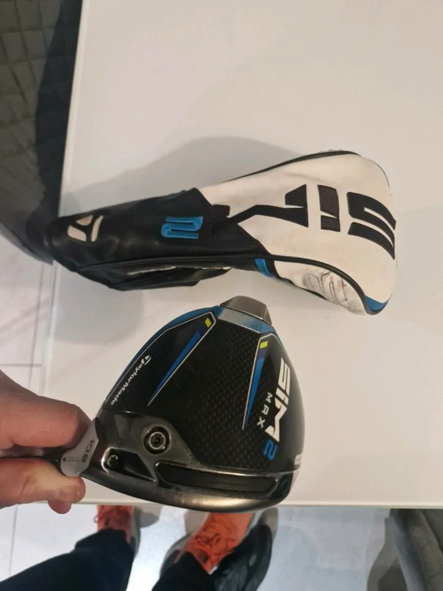 Sim 2 Max Driver - Image 1
