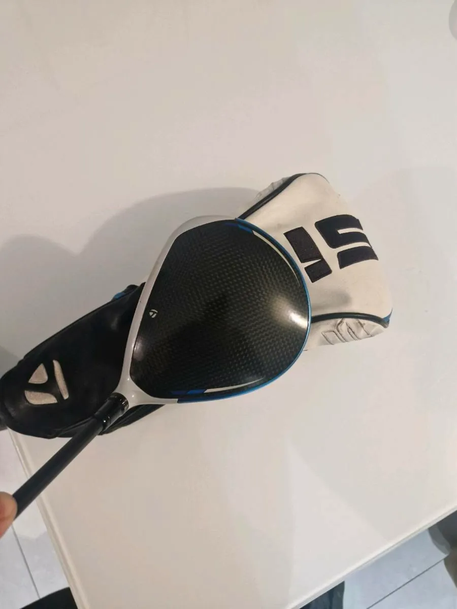 Sim 2 Max Driver - Image 4