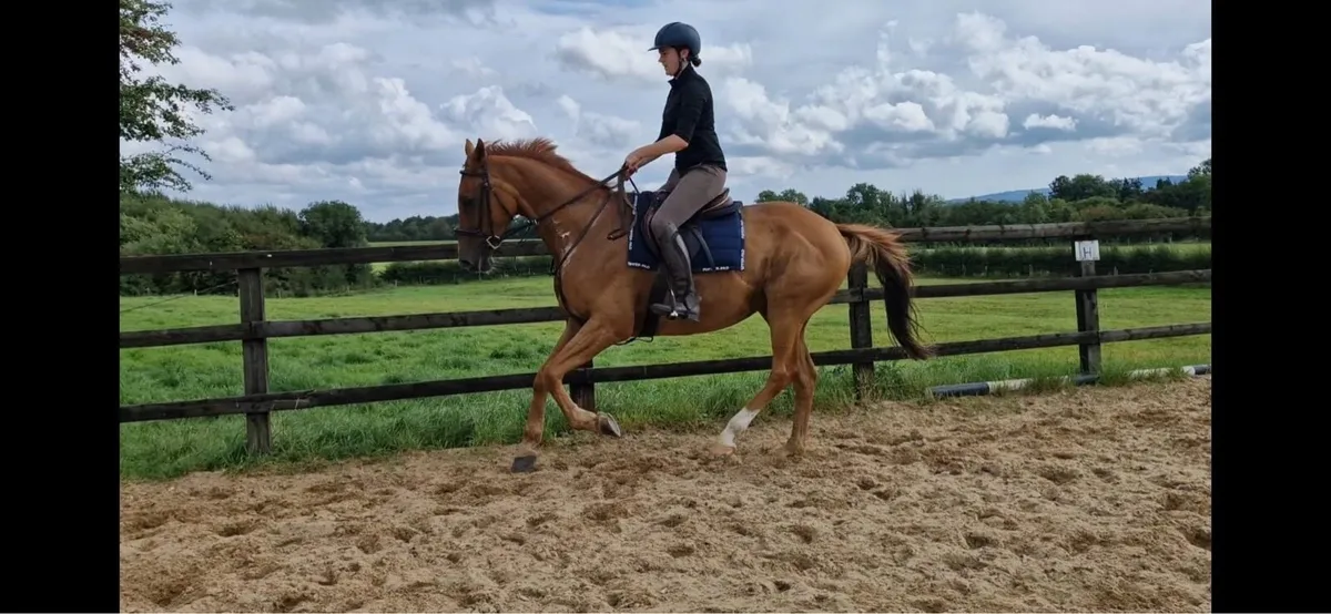 16.1 Dublin prospect - Image 3