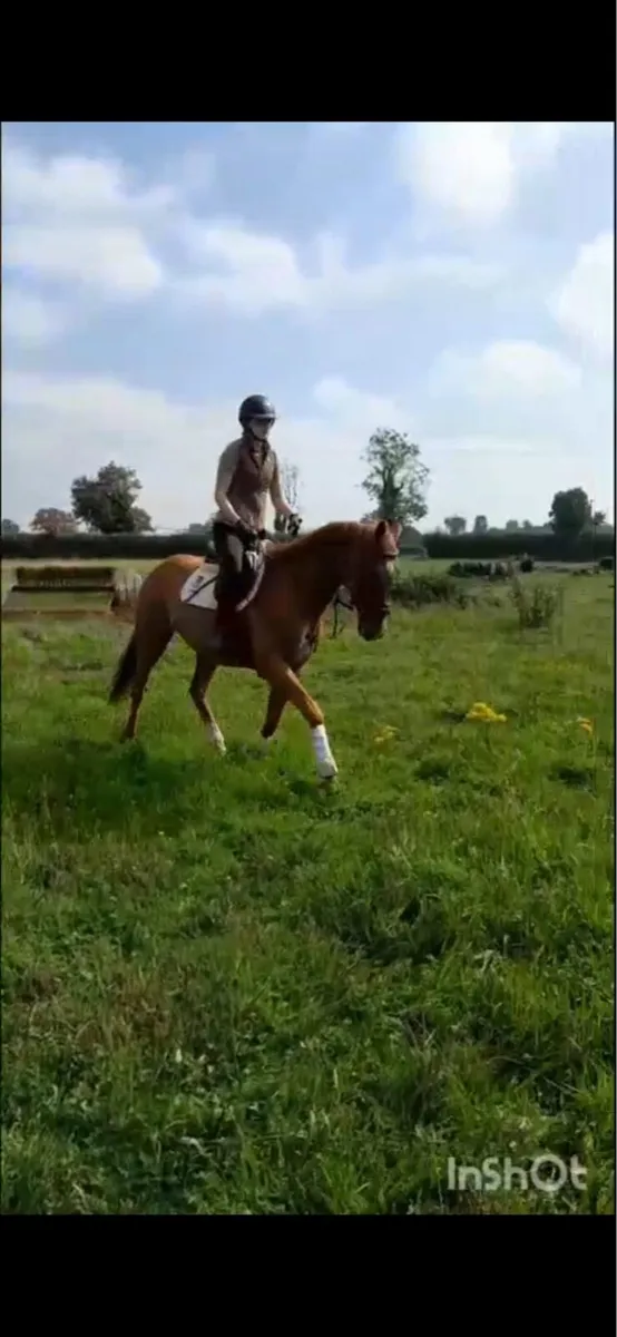 16.1 Dublin prospect - Image 4