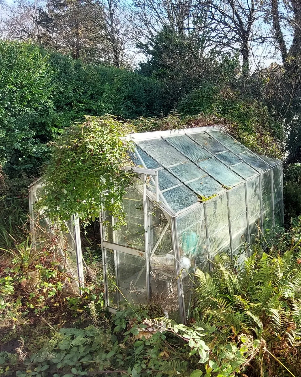 Glasshouse - Image 2