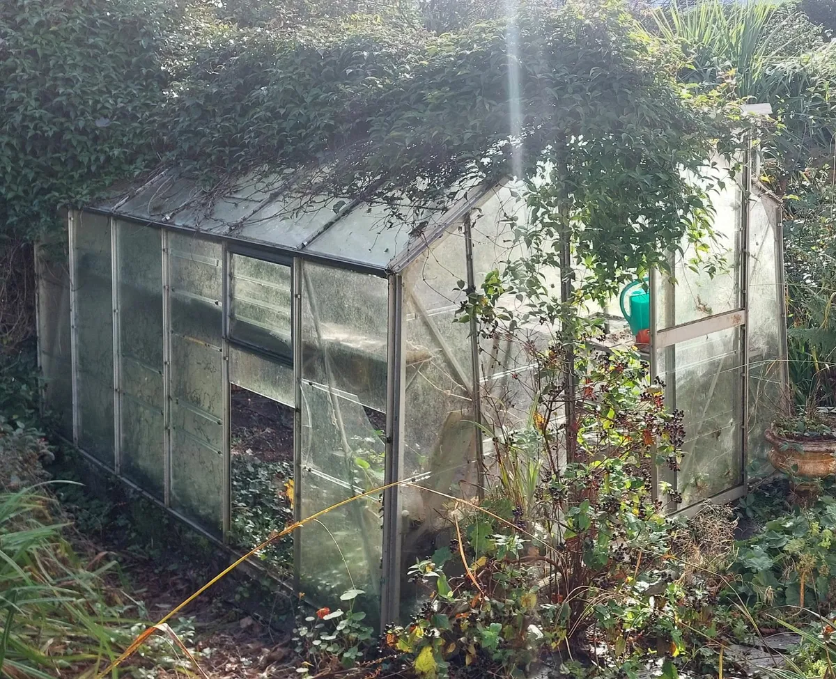 Glasshouse - Image 3