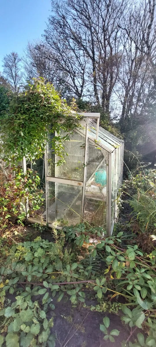 Glasshouse - Image 4