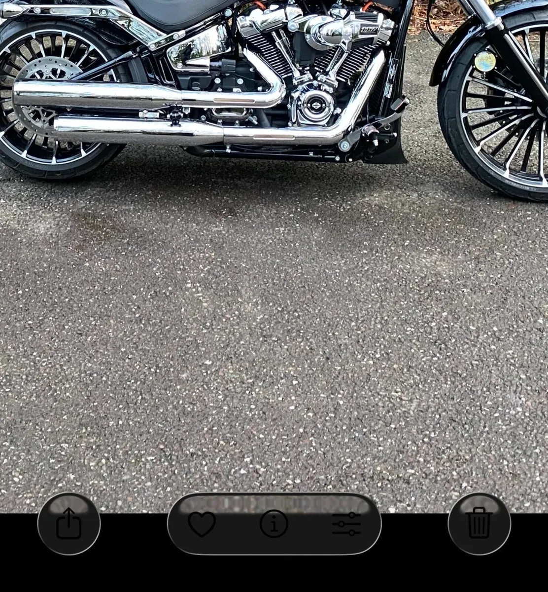 Harley-Davidson Exhaust Complete - Image 1