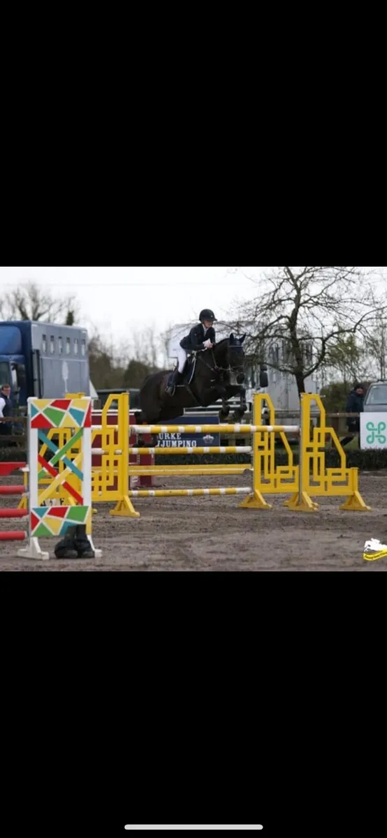 Horse - Image 4