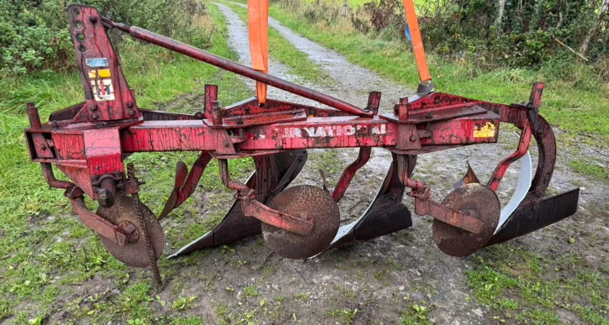 International plough - Image 3