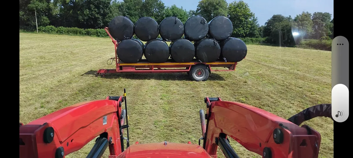 Flat trailer - Image 1