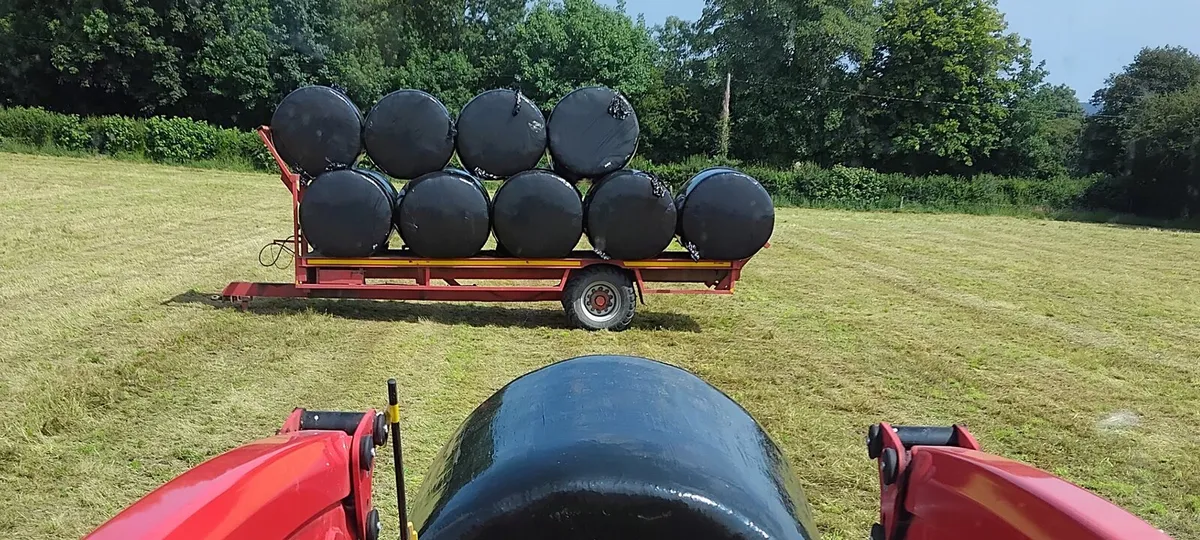 Flat trailer - Image 2
