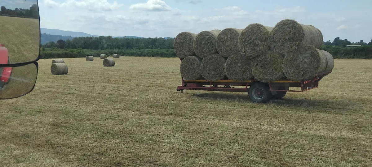 Flat trailer - Image 3