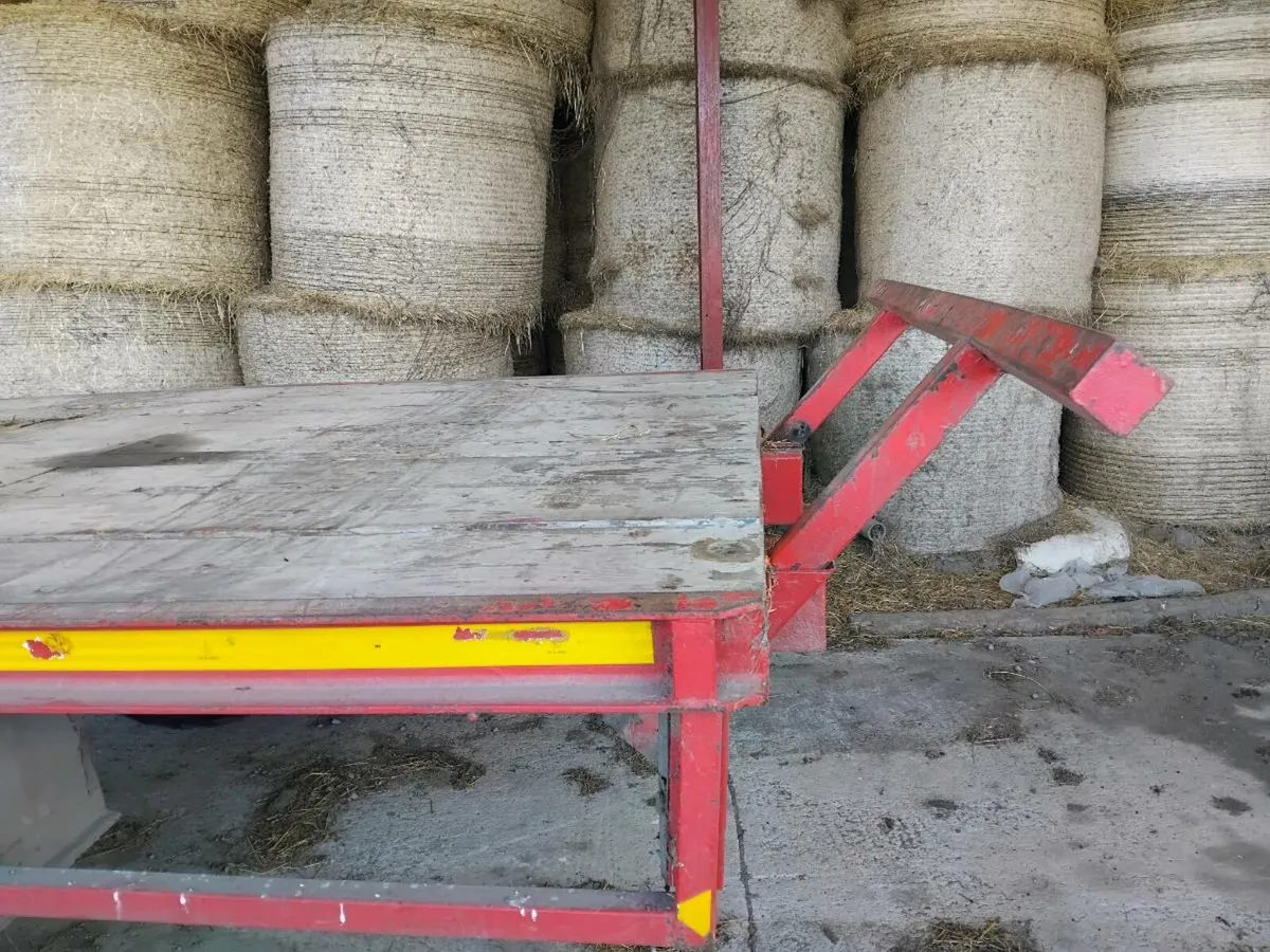 Flat trailer - Image 4