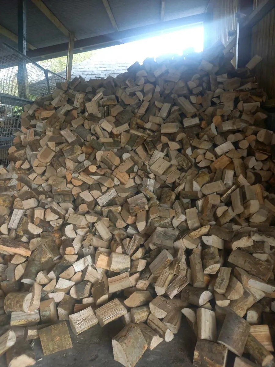 Hardwood Firewood - Image 3